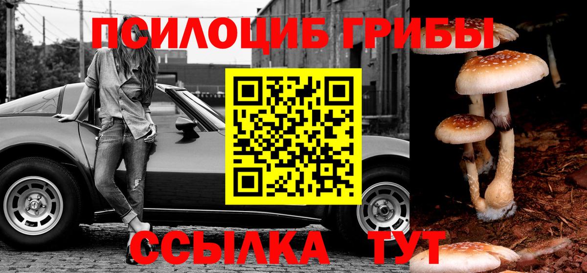Псилоцибиновые грибы прущие грибы  Псилоцибиновые грибы прущие грибы  Вход с VPN  Ижевск 
